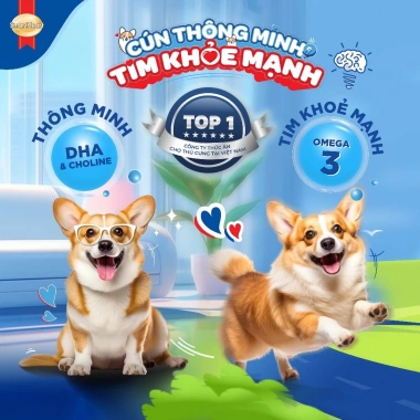Combo SmartHeart 2 Túi Thức Ăn Chó Hạt Bò Nướng 1,5kg x2 + Tặng Set Nón Yếm - Giá 214.200 VND
