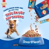 Combo SmartHeart 2 Túi Thức Ăn Chó Hạt Bò Nướng 1,5kg x2 + Tặng Set Nón Yếm - Giá 214.200 VND 3