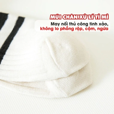 Combo Tất Cổ Thấp Cotton Mềm Thoáng Khí + Set Vớ Nam Nữ Co Giãn Thoải Mái AMYBRA T697 - Giá chỉ 42.000 VND