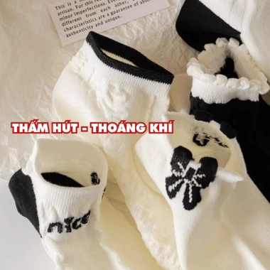 Combo Tất Nữ Cotton Dệt Cổ Thấp + Vớ Nữ Mềm Mại Thoáng Khí AMYBRA T646 - Chỉ 42.000đ