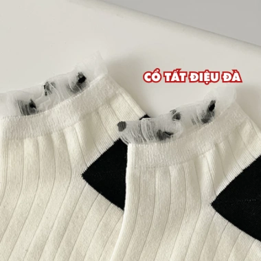 Combo Tất Nữ Cotton Dệt Cổ Thấp + Vớ Nữ Mềm Mại Thoáng Khí AMYBRA T646 - Chỉ 42.000đ