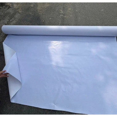 Combo Thảm Bạt Trắng 10m² Trang Trí Sự Kiện Giá Rẻ Dùng Mọi Nơi Giảm Đến 280k Combo Thảm Bạt Trắng 10m² Trang Trí Sự Kiện Giá Rẻ Dùng Mọi Nơi Giảm Đến 280k
