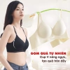 Combo Tiết Kiệm Áo Ngực Nữ Khoét Giọt Nước Thoáng Khí, Đúc Su Tàng Hình AMYBRA A960 - Giá 270k Giảm Đặc Biệt 2