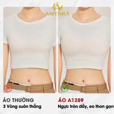 Combo Tiết Kiệm Áo Ngực Nữ Không Gọng Đúc Su, Đệm 1.5cm Chống Chảy Xệ AMYBRA A1.289 232k