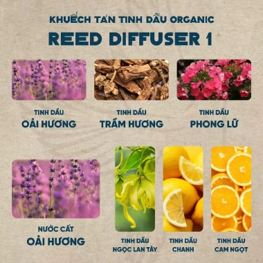 Combo Tinh Dầu Thơm Que Gỗ HOMER 100ml-250ml - Thơm 600h, Khử Mùi, Giá 198.000₫