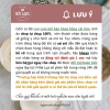Combo tô chén dĩa gà thủ công Nam Bộ xưa - Bóng đẹp, không chân đinh, chỉ 599k 5
