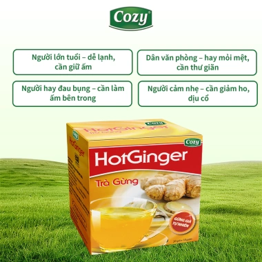 Combo Trà Gừng 20x10g – Gừng Già Vị Cay Ngọt, Dễ Uống, Ấm Cơ Thể – 113.000₫