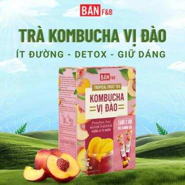 Combo Trà Kombucha 2 Gói - Lên Men, Trái Cây, Detox, Chỉ 59.000đ Giảm 50k 9