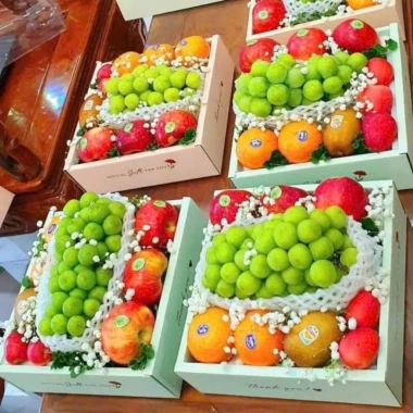 Combo Túi & Hộp Quà Đựng Trái Cây, Bánh, Hũ Yến - 50.000đ Không Kèm Ruy Băng