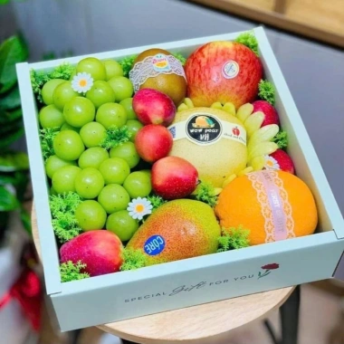 Combo Túi & Hộp Quà Đựng Trái Cây, Bánh, Hũ Yến - 50.000đ Không Kèm Ruy Băng 4