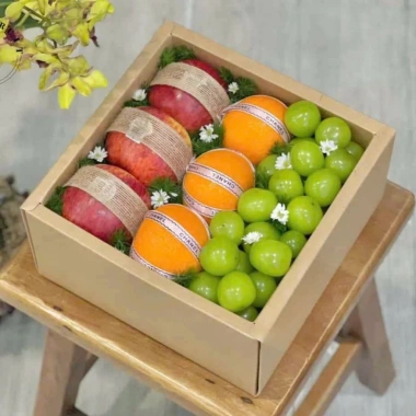 Combo Túi & Hộp Quà Đựng Trái Cây, Bánh, Hũ Yến - 50.000đ Không Kèm Ruy Băng 5
