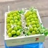 Combo Túi & Hộp Quà Đựng Trái Cây, Bánh, Hũ Yến - 50.000đ Không Kèm Ruy Băng 7