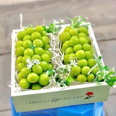 Combo Túi & Hộp Quà Đựng Trái Cây, Bánh, Hũ Yến - 50.000đ Không Kèm Ruy Băng 7