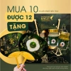 Combo yến hũ KNEST 8-12g 75ml - Tổ yến chưng Yến Sào Khang cho bệnh nhân, người cao tuổi