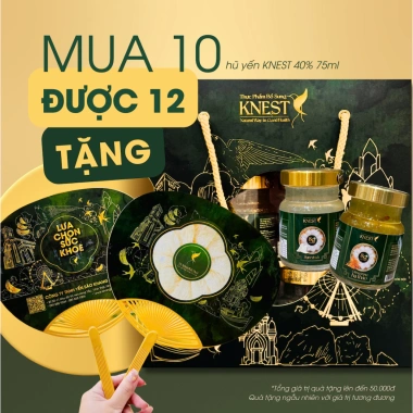 Combo yến hũ KNEST 8-12g 75ml - Tổ yến chưng Yến Sào Khang cho bệnh nhân, người cao tuổi