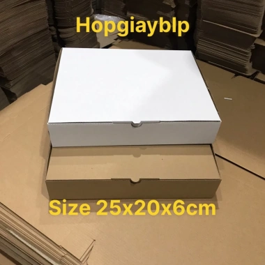 Conbo 20 hộp gài đựng quần áo 25x20x6cm - Nhiều màu, giảm giá chỉ 80.000 VND