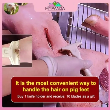 Công cụ cạo mỡ da lợn MYPANDA - Cạo lông lợn, râu, loại bỏ dầu heo chỉ 54.340₫