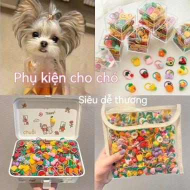 Cột tóc thú cưng không giật lông cho mèo lông dài Yorkie Maltese Poodle họa tiết hoạt hình siêu mềm