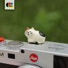 Cover Hot Shoe Meow Series May Mắn - Phù Hợp Sony, Fuji, Canon, Bảo Vệ Chính Xác 3