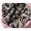 Củ Ấu Tẩu Gấu Tàu 100gr Ngâm Xoa Bóp Tự Nhiên - Giảm Giá Đến 39.000₫ 6