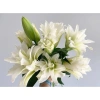 Củ Hoa Ly cao, hoa thơm, cánh kép - Giá 50.000đ giảm từ 63.000đ, hương tự nhiên, tăng đề kháng 7