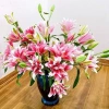 Củ Ly Kép Thơm, Củ Ly Cao Hà Lan Nhiều Màu - Hoa Ly Đẹp, Hương Thơm Quyến Rũ, Viên Nén Ươm Hạt 15.000 VND 5