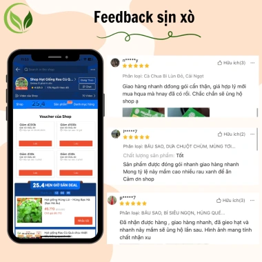 Củ Ly Kép Thơm, Củ Ly Cao Hà Lan Nhiều Màu - Hoa Ly Đẹp, Hương Thơm Quyến Rũ, Viên Nén Ươm Hạt 15.000 VND 9