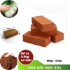 Củ Ly Kép Thơm, Củ Ly Cao Hà Lan Nhiều Màu - Hoa Ly Đẹp, Hương Thơm Quyến Rũ, Viên Nén Ươm Hạt 15.000 VND 10