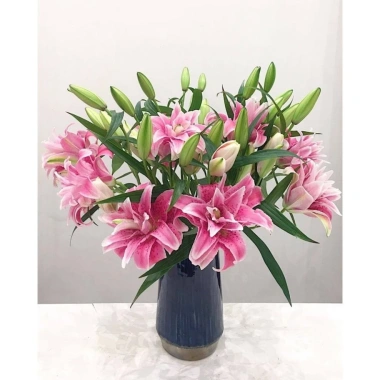 Củ Ly Kép Thơm Đa Màu Cao Hà Lan - Hoa Ly Đẹp, Hương Thơm Quyến Rũ, Giống Chuẩn Tết Giá 10.000đ 3