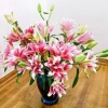 Củ Ly Kép Thơm Đa Màu Cao Hà Lan - Hoa Ly Đẹp, Hương Thơm Quyến Rũ, Giống Chuẩn Tết Giá 10.000đ 4