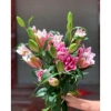 Củ Ly Kép Thơm Đa Màu Cao Hà Lan - Hoa Ly Đẹp, Hương Thơm Quyến Rũ, Giống Chuẩn Tết Giá 10.000đ 8