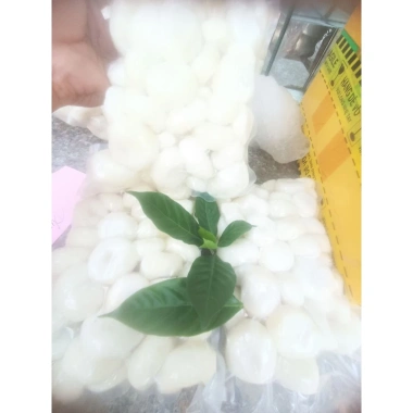 Củ Năng Gọt Sẵn Ướp Đá 5kg - Đặt Hàng Online Giá 315k - Giao Hàng Toàn Quốc 6 Củ Năng Gọt Sẵn Ướp Đá 5kg - Đặt Hàng Online Giá 315k - Giao Hàng Toàn Quốc 6