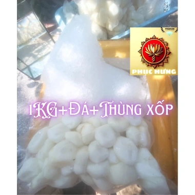 Củ Năng Gọt Sẵn Ướp Đá 5kg - Đặt Hàng Online Giá 315k - Giao Hàng Toàn Quốc 8 Củ Năng Gọt Sẵn Ướp Đá 5kg - Đặt Hàng Online Giá 315k - Giao Hàng Toàn Quốc 8