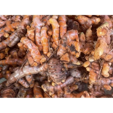 Củ nghệ đỏ nếp già tươi 2kg - Đảm bảo chất lượng, giá chỉ 85.000 VND, giảm sâu