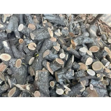 Củi khô 10kg - Nướng thịt, nấu bánh chưng, giảm giá tới 23% - Chỉ 89.000đ