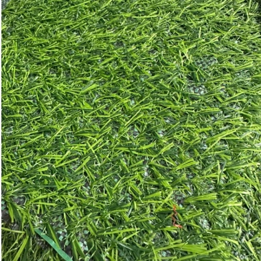 Cuộn thảm cỏ nhân tạo 2x25m đế bạt 2cm Trang trí sự kiện giá ưu đãi 1.66 triệu 3