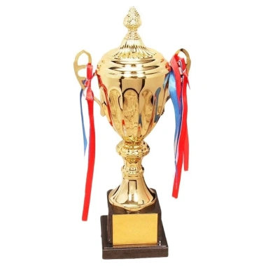 Cúp vô địch NAMSHEVA 1 chiếc - Vàng nhựa khắc, tùy chỉnh, cỡ 29‑51cm, quà lưu niệm