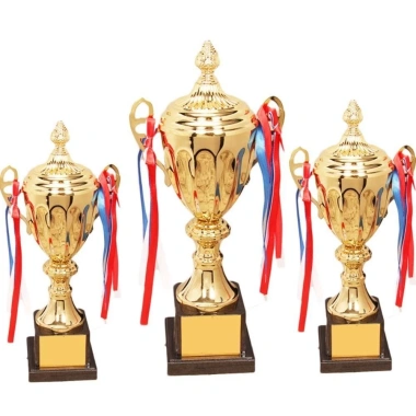 Cúp vô địch NAMSHEVA 1 chiếc - Vàng nhựa khắc, tùy chỉnh, cỡ 29‑51cm, quà lưu niệm
