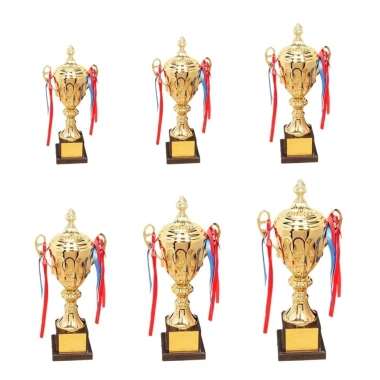 Cúp vô địch NAMSHEVA 1 chiếc - Vàng nhựa khắc, tùy chỉnh, cỡ 29‑51cm, quà lưu niệm 9 Cúp vô địch NAMSHEVA 1 chiếc - Vàng nhựa khắc, tùy chỉnh, cỡ 29‑51cm, quà lưu niệm 9