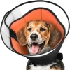 CUXIN Cổ Chống Cắn Thú Cưng - Nón Nhẹ Thoáng Khí, An Toàn, Điều Chỉnh và Hỗ Trợ Phục Hồi Cổ Cho Chó - Giá 156,708₫ 10