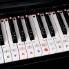 CUY Miếng Dán Bàn Phím Piano PVC Tháo Rời - Nhãn 88/61/54 Phím Giá Ưu Đãi 57.090₫ 5