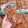 Da Heo Chiên Sấy Giòn Thái Lan 60g - Giòn Rụm, Đồ Ăn Vặt Nội Địa Thái - 64.999₫ 5