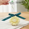 Đá Khuếch Tán Tinh Dầu ESKY Aroma Garden Cao Lưu Hương Khử Mùi Trang Trí 19.000 VND