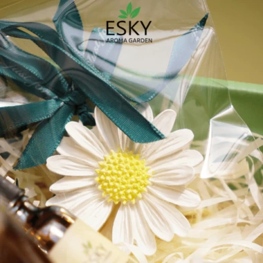 Đá Khuếch Tán Tinh Dầu ESKY Aroma Garden Cao Lưu Hương Khử Mùi Trang Trí 19.000 VND 5 Đá Khuếch Tán Tinh Dầu ESKY Aroma Garden Cao Lưu Hương Khử Mùi Trang Trí 19.000 VND 5