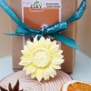 Đá Khuếch Tán Tinh Dầu ESKY Aroma Garden Cao Lưu Hương Khử Mùi Trang Trí 19.000 VND 6