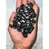 Đá nướng 5kg cho lạp xưởng và xúc xích - Sỏi đen 1kg nhập khẩu, giá chỉ 30.000₫ giảm từ 37.200 3