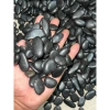 Đá nướng 5kg cho lạp xưởng và xúc xích - Sỏi đen 1kg nhập khẩu, giá chỉ 30.000₫ giảm từ 37.200 6