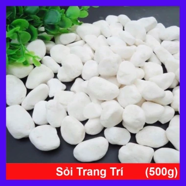 Đá sỏi trang trí chậu cây loại vừa 500g Giá ưu đãi chỉ 10.000 VNĐ