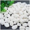 Đá sỏi trang trí chậu cây loại vừa 500g Giá ưu đãi chỉ 10.000 VNĐ 5