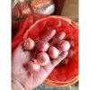 Đặc sản Hành Cô Đơn H Mông Sơn La - Giá chỉ 30.000 VND, hương vị độc đáo 2